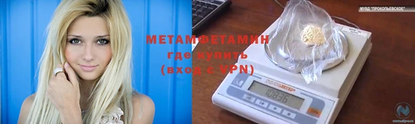 шишки Нея