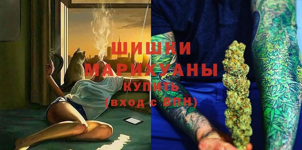 Альфа ПВП Белая Холуница