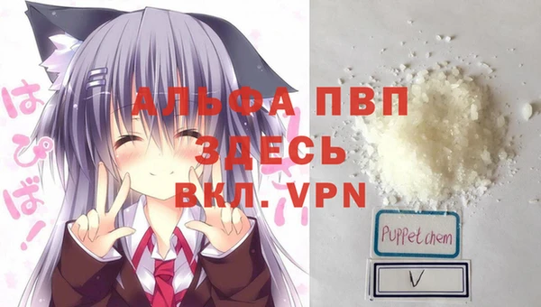 шишки Нея