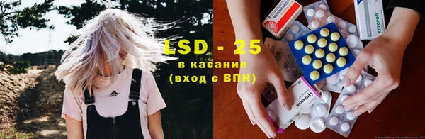шишки Нея