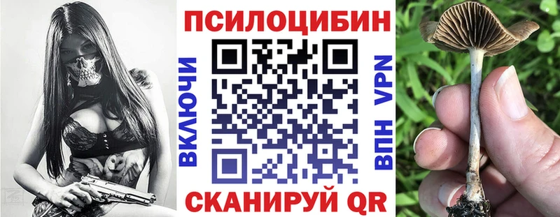 Псилоцибиновые грибы MAGIC MUSHROOMS  hydra зеркало  Николаевск  купить  сайты 